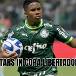 Brazilian stars in Copa Libertadores history