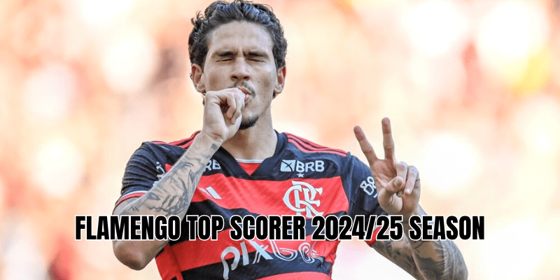 Flamengo top scorer 202425 season